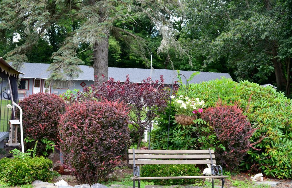 Round Lake Chamber Lane Motel מראה חיצוני תמונה